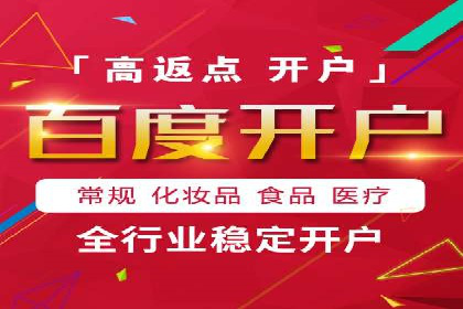 SEM代理案例：揭秘成功背后的秘密